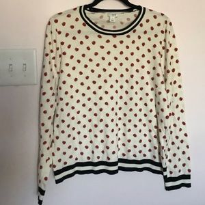 Ladybug Sweater